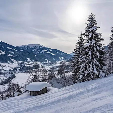 Haus Tauernblick 2 Daire *